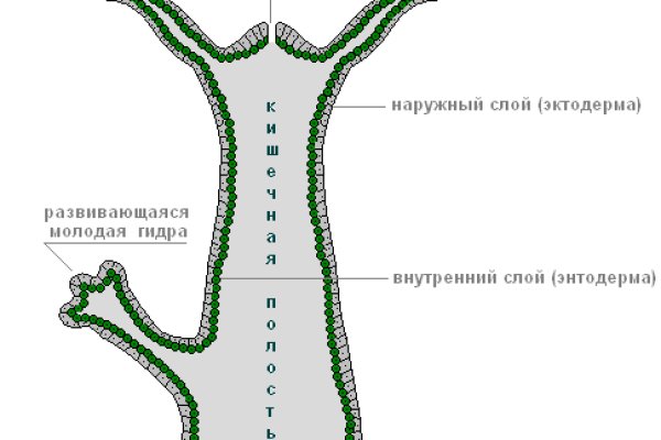 Кракен маркетплейс в питере