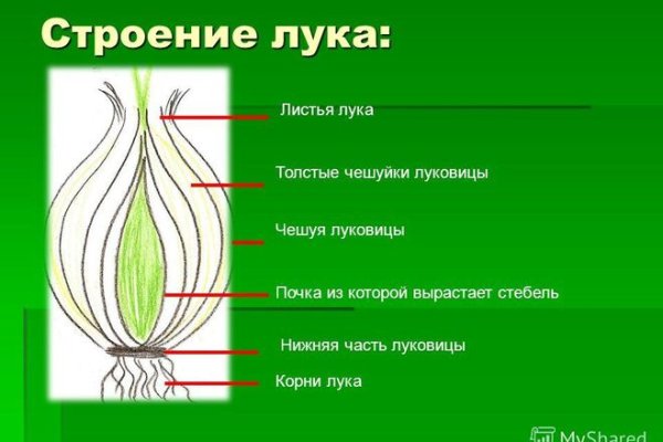 Где найти рабочую ссылку на кракен