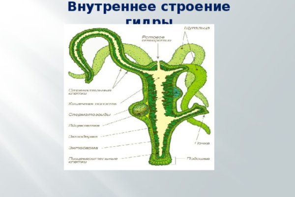 Что за приложение кракен